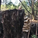 別荘 Moradia Proxima Da Do Areinho, Na Ria, E Dos Marretas