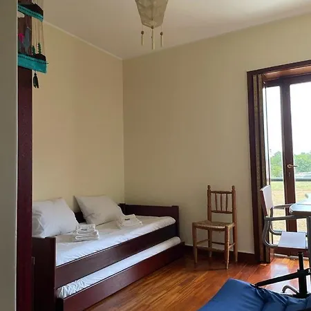 Ferienhaus Moradia Proxima Da Do Areinho, Na Ria, E Dos Marretas Ovar