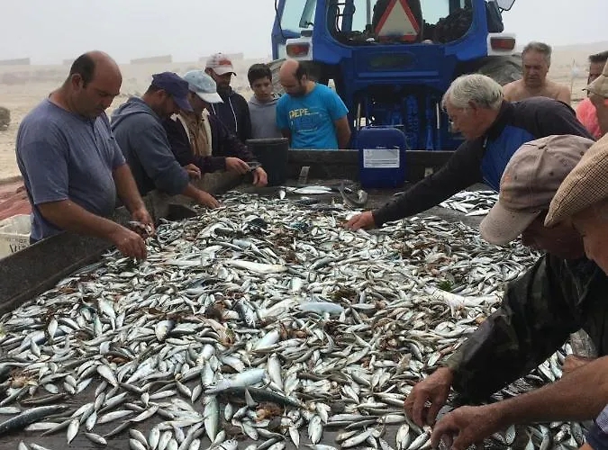 Moradia Proxima Da Do Areinho, Na Ria, E Dos Marretas