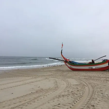 Moradia Próxima Da Do Areinho, Na Ria, E Dos Marretas Ovar