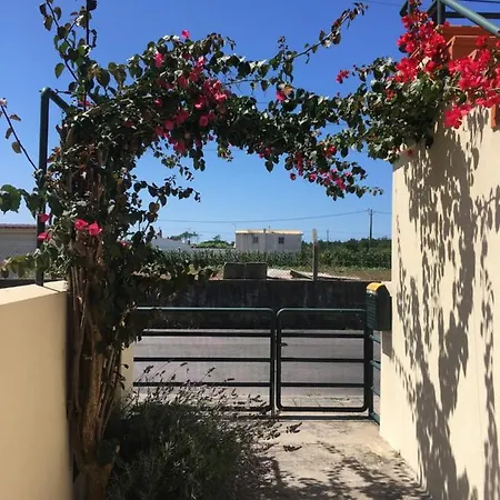 Moradia Proxima Da Do Areinho, Na Ria, E Dos Marretas Feriehus Ovar