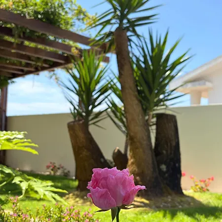 Moradia Próxima Da Do Areinho, Na Ria, E Dos Marretas