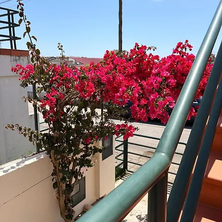 Moradia Próxima Da Do Areinho, Na Ria, E Dos Marretas