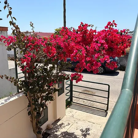 Сasa de vacaciones Moradia Próxima Da Do Areinho, Na Ria, E Dos Marretas Ovar
