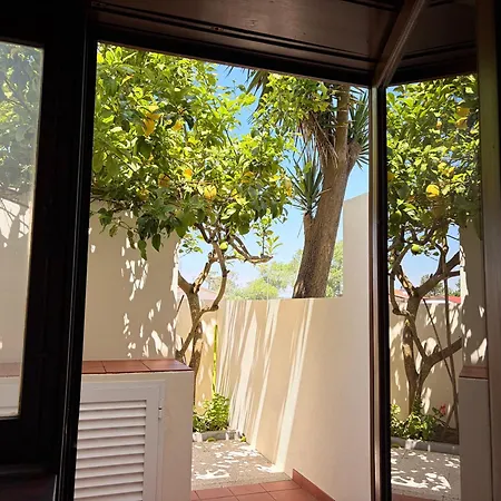 Moradia Próxima Da Do Areinho, Na Ria, E Dos Marretas *