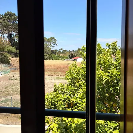 Moradia Próxima Da Do Areinho, Na Ria, E Dos Marretas *
