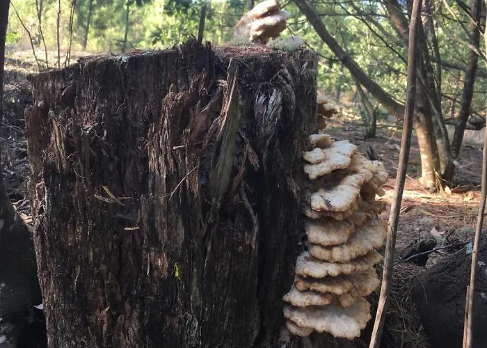 度假居 Moradia Proxima Da Do Areinho, Na Ria, E Dos Marretas