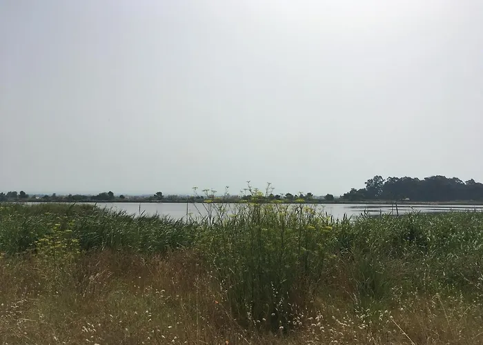 Moradia Proxima Da Do Areinho, Na Ria, E Dos Marretas 度假居 *