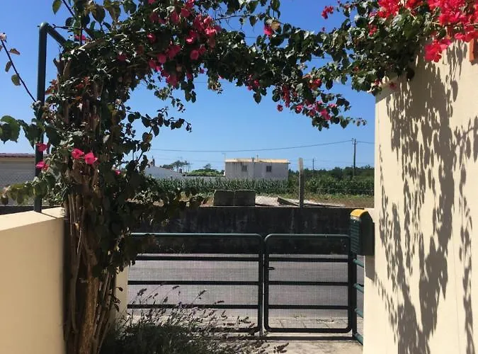 Moradia Proxima Da Do Areinho, Na Ria, E Dos Marretas 度假居 欧瓦